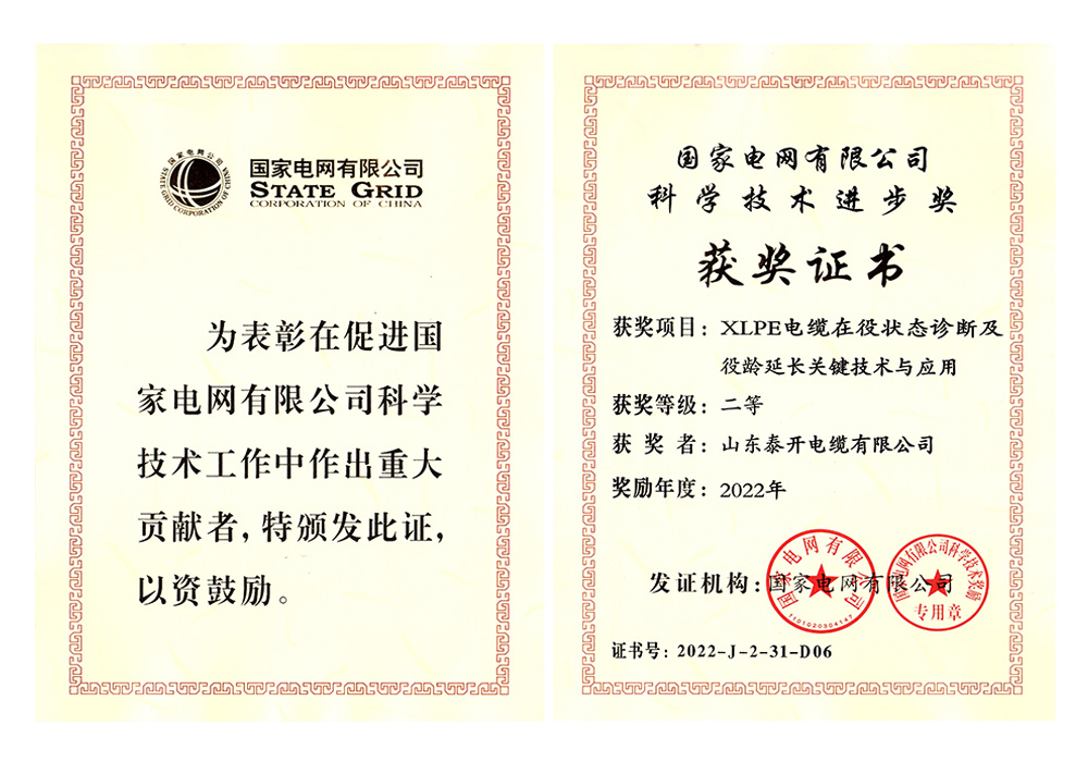 國家電網科技進步獎（XLPE電纜在役狀態診斷及役齡延長關鍵技術與應用）