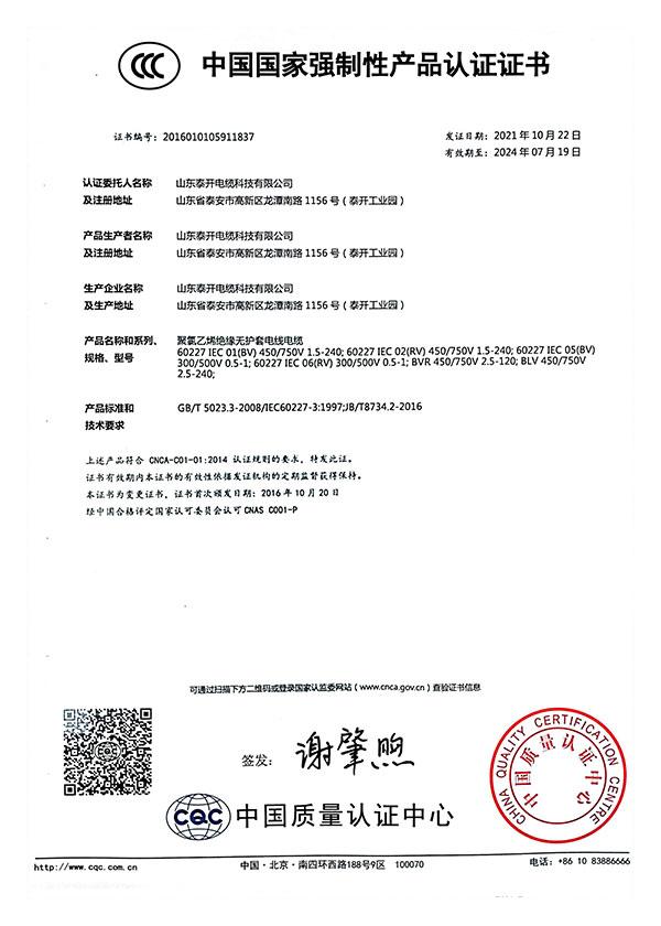 聚氯乙烯絕緣無護(hù)套電線電纜