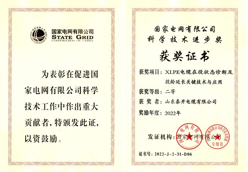 科學技術進步二等獎（XLPE電纜在役狀態診斷及役齡延長關鍵技術與應用）