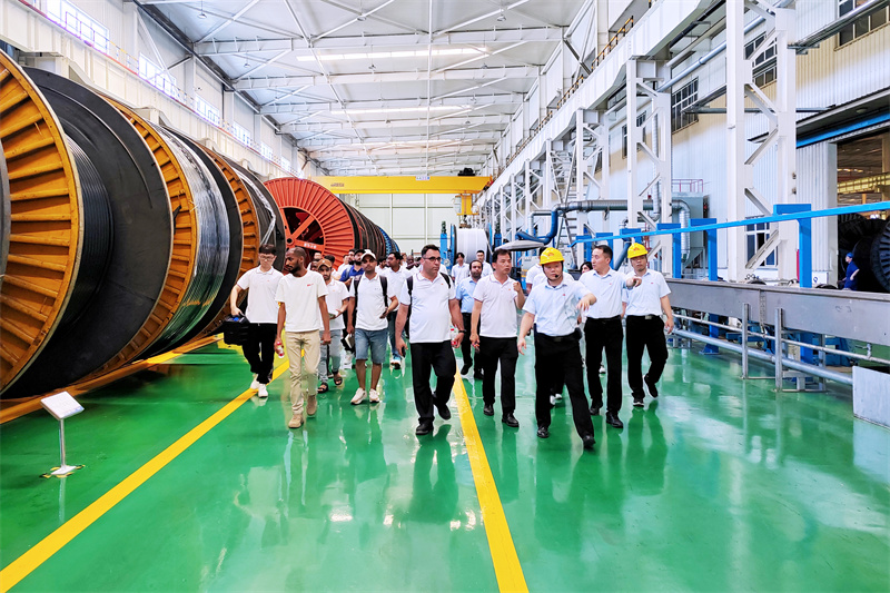 微信圖片_202406200939194 微信圖片_202406200939194